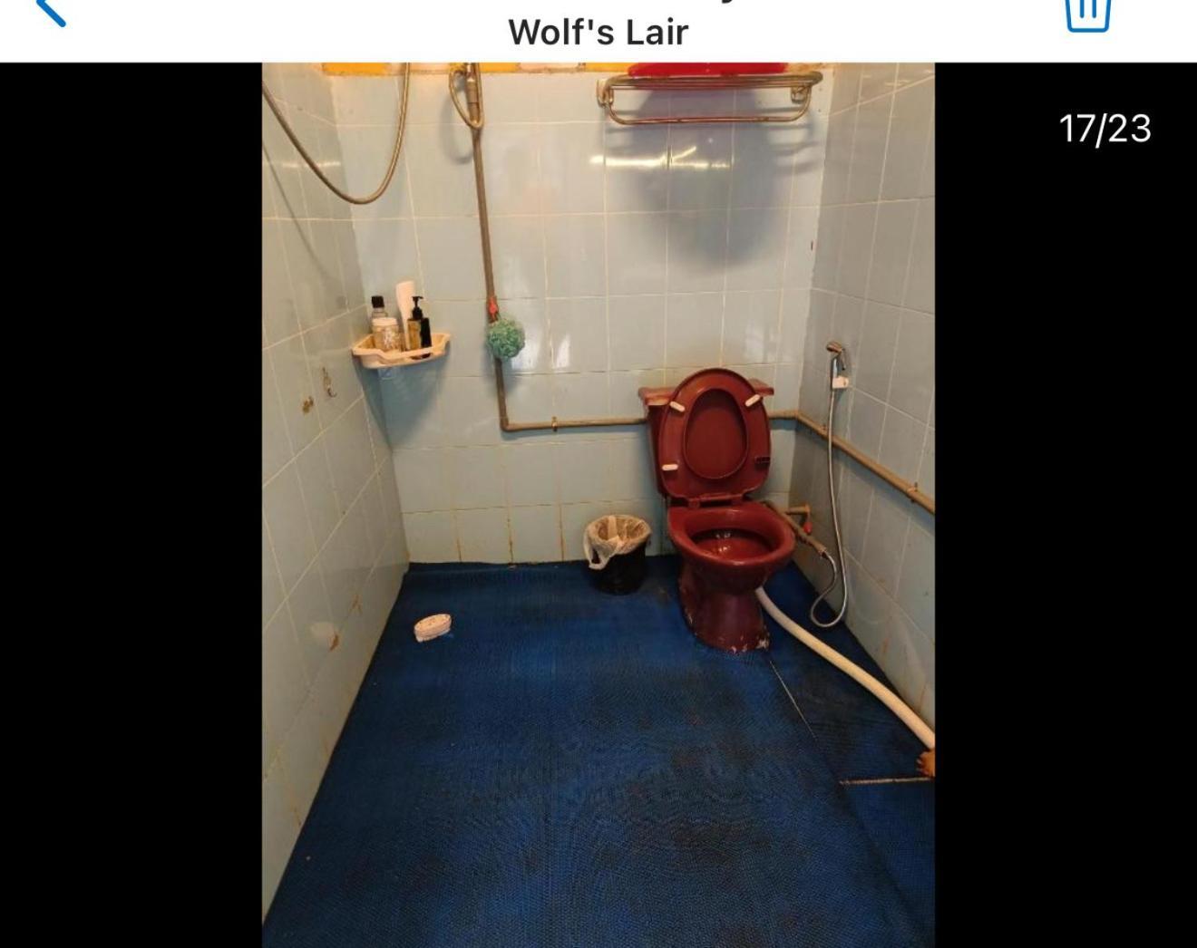 Wolf'S Lair Otel Da Lat Dış mekan fotoğraf